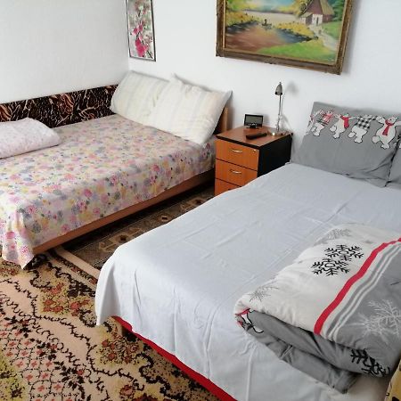 Rustic House Apartment Turnu Magurele Bagian luar foto