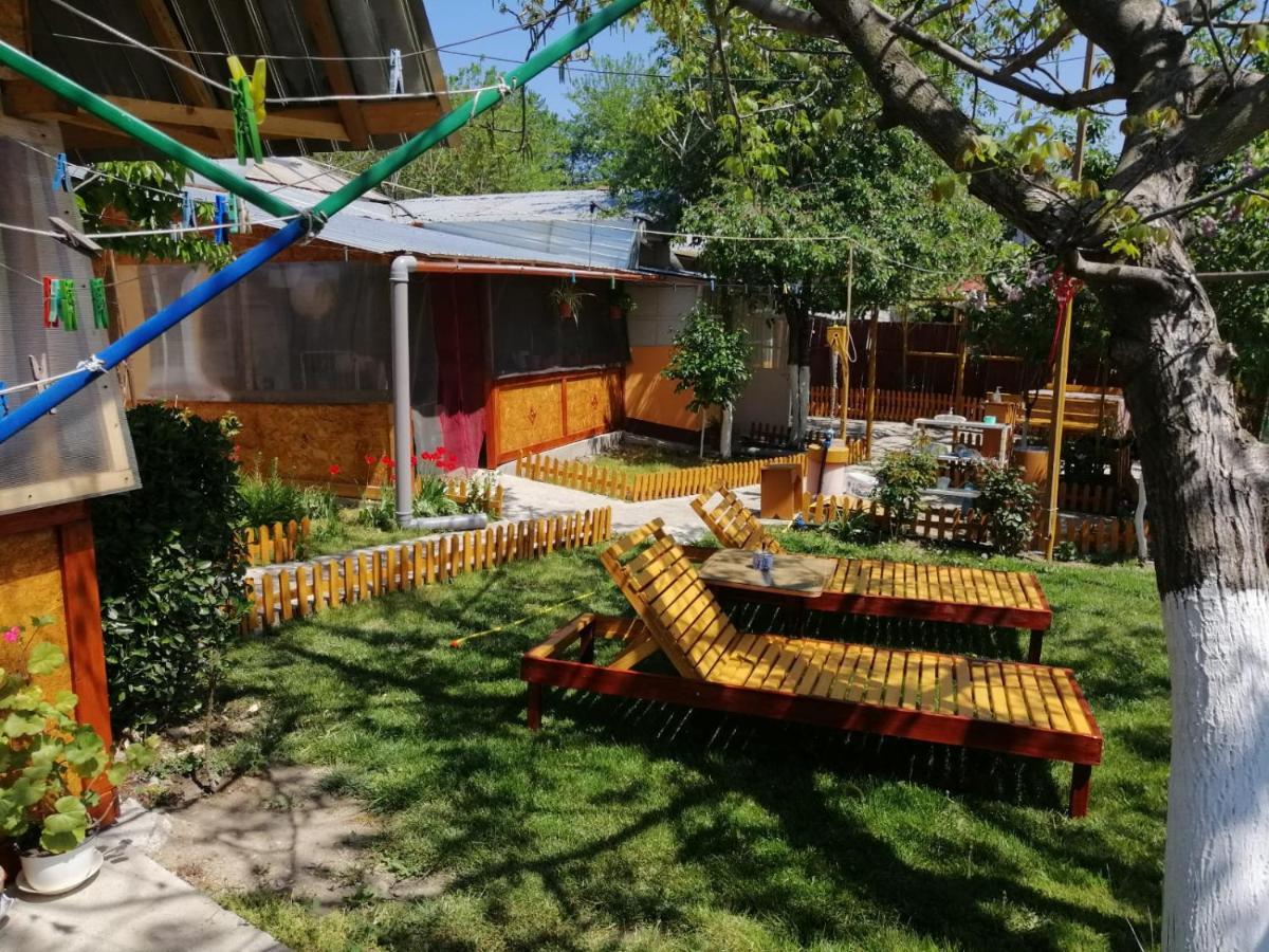 Rustic House Apartment Turnu Magurele Bagian luar foto