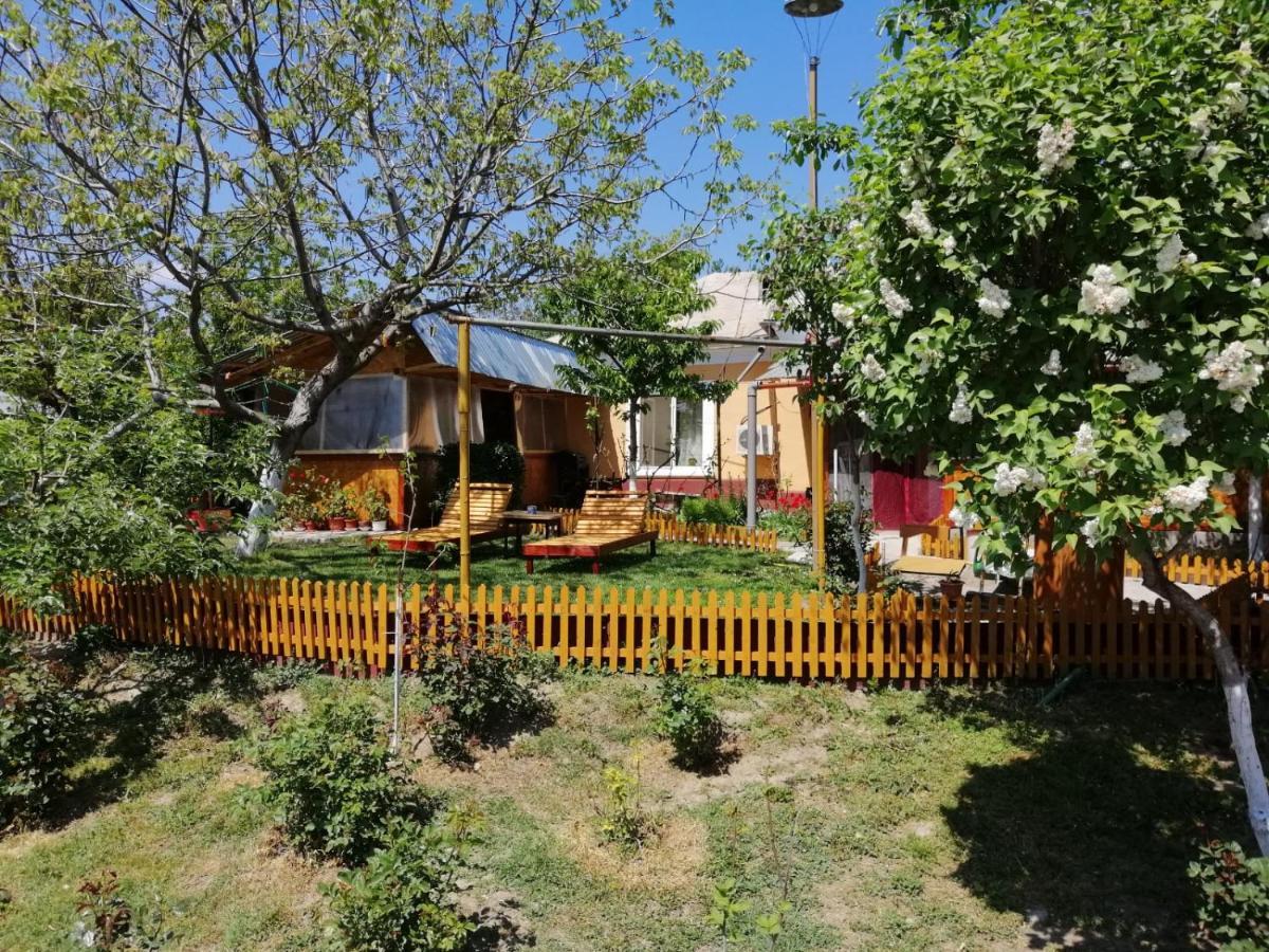 Rustic House Apartment Turnu Magurele Bagian luar foto