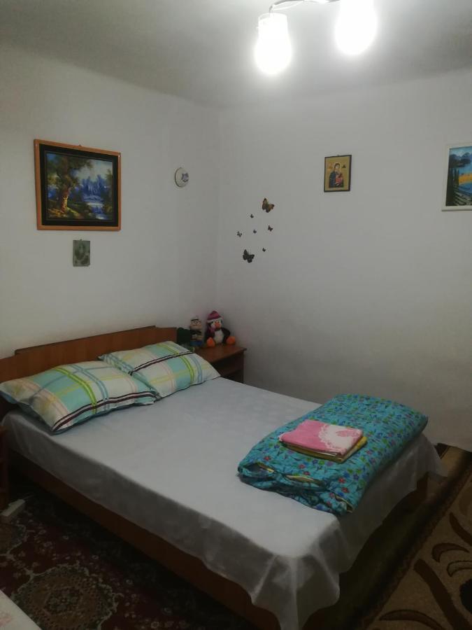 Rustic House Apartment Turnu Magurele Bagian luar foto