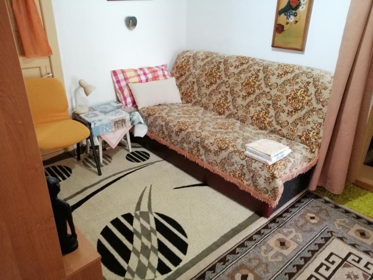 Rustic House Apartment Turnu Magurele Bagian luar foto
