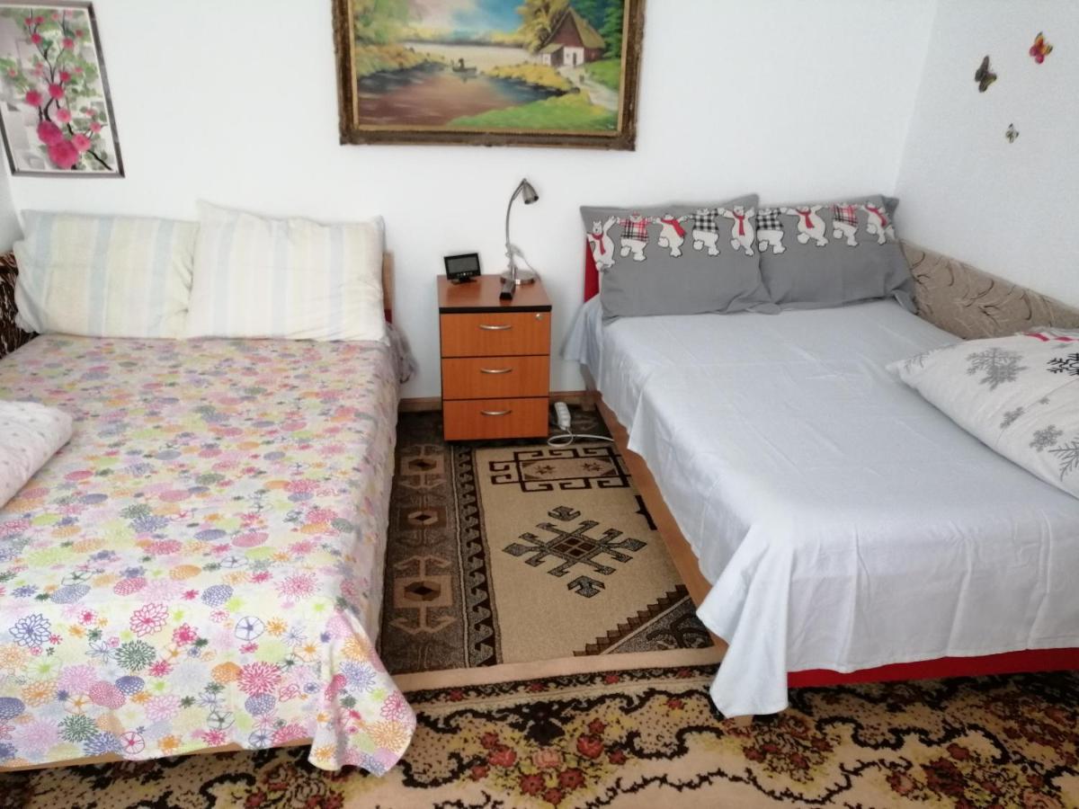 Rustic House Apartment Turnu Magurele Bagian luar foto
