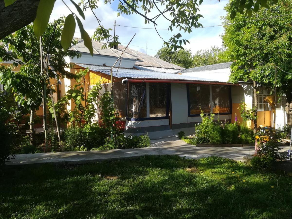 Rustic House Apartment Turnu Magurele Bagian luar foto